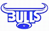 Bulls logo