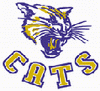 Lions logo